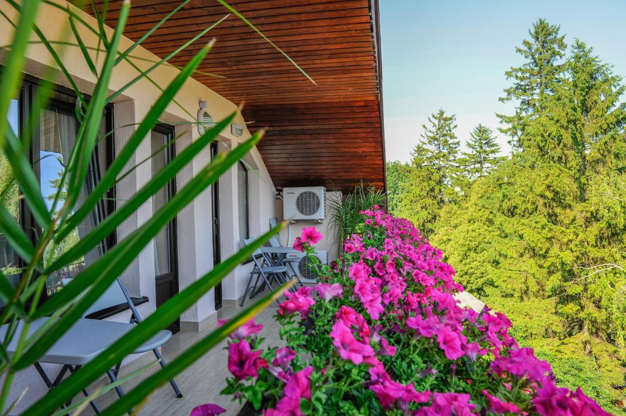 Villa Alice Suceava Luaran gambar